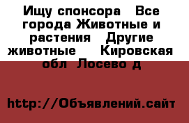 Ищу спонсора - Все города Животные и растения » Другие животные   . Кировская обл.,Лосево д.